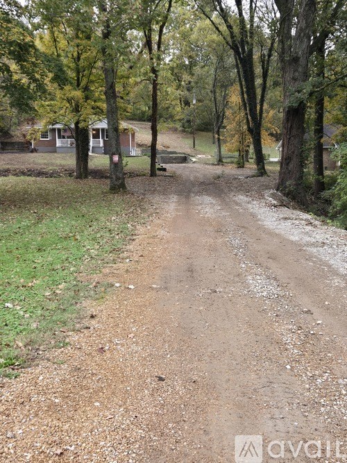 A dirt road with trees on both sides.