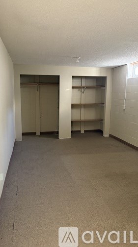 A storage room with a carpeted floor and a couple of shelves.