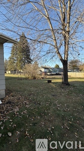 A tree in a yard with a house in the background.
