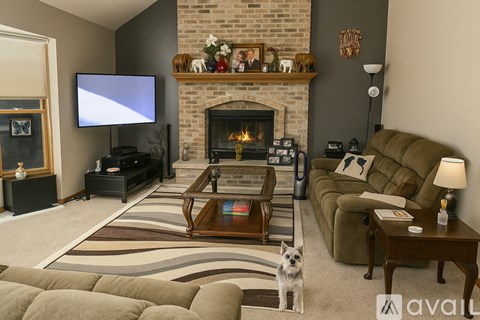 A dog is sitting in a living room with a fireplace and a television.