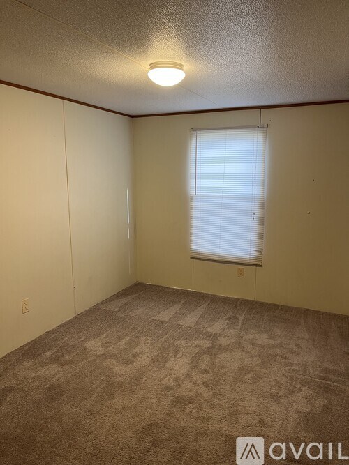 A room with a carpeted floor and a window with blinds.