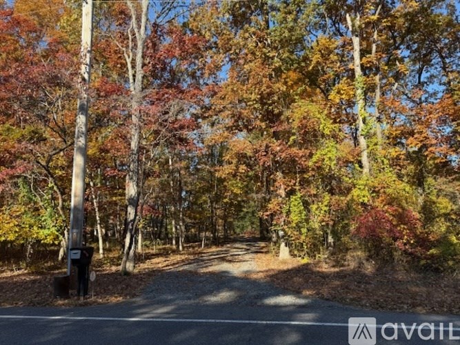 A path through a forest with trees showing autumn colors.