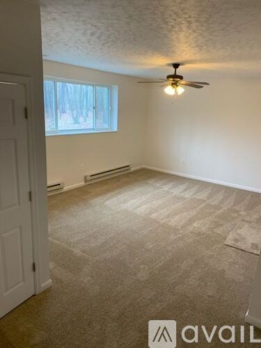 A room with a carpeted floor and a ceiling fan.