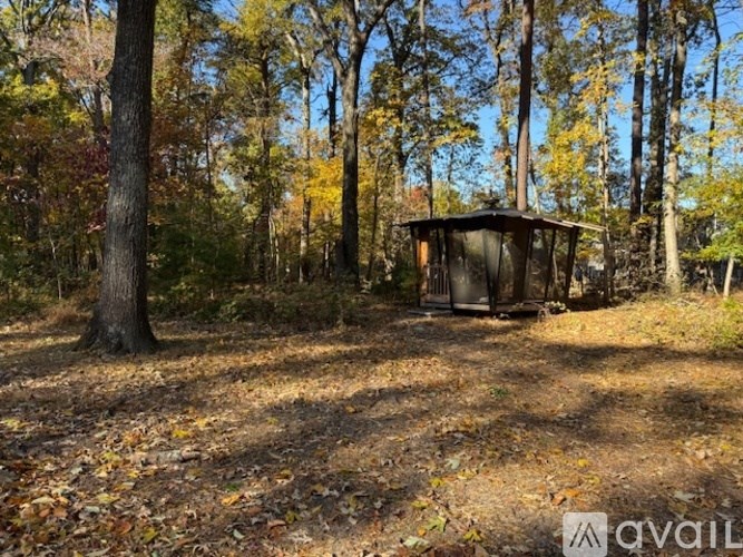 A small black structure sits in a forest with trees showing autumn colors.