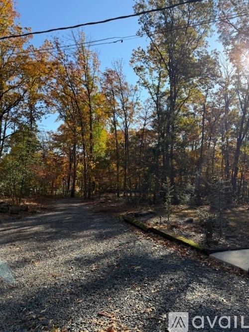 A gravel road in a forest with trees showing autumn colors.