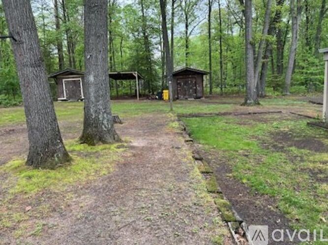 A forest scene with a dirt path and two small buildings.