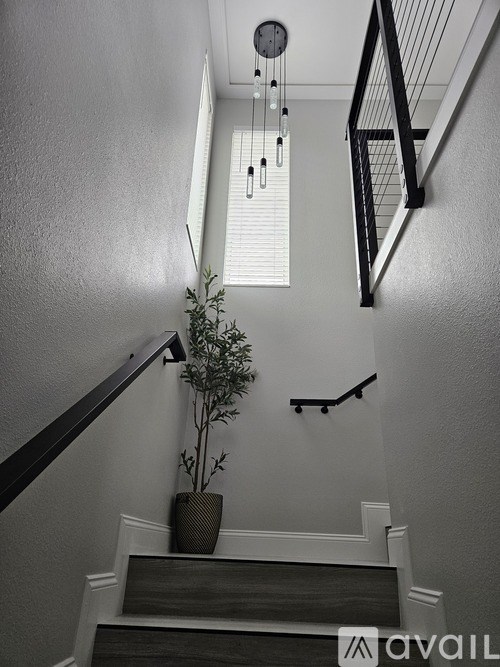 A staircase with a plant on the landing.