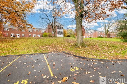 A parking lot with yellow lines and fallen leaves on the ground.