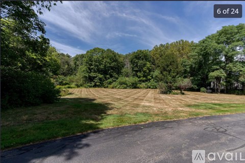 A tree-filled landscape with a road in the foreground.
