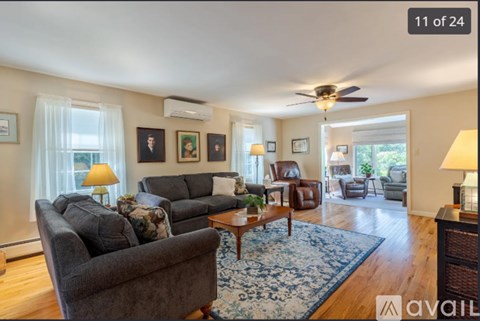 A living room with a grey couch and a blue rug.