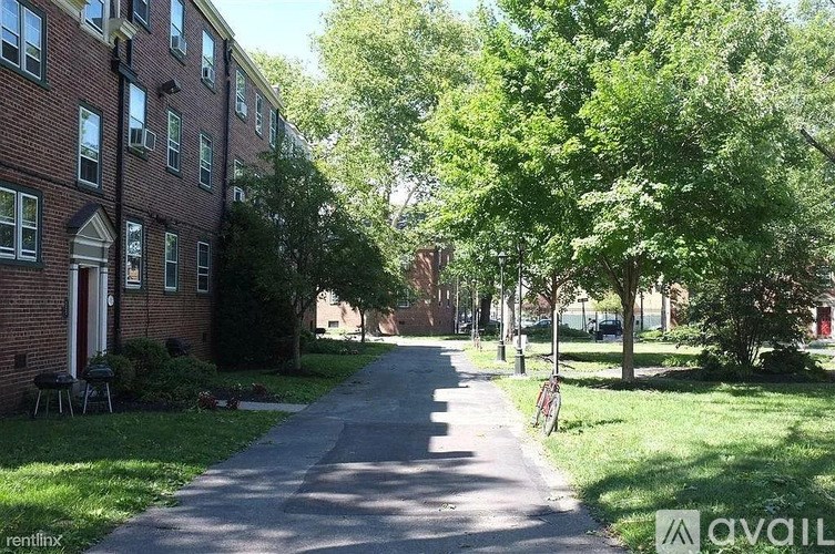 A tree-lined street with a bicycle parked on the side.