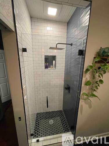 A bathroom with a walk-in shower and a plant on the side.
