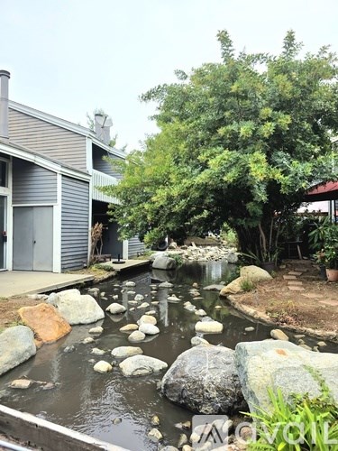 A stream flows through a rocky garden.