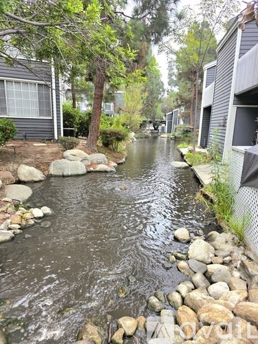 A river runs through a residential area with houses on either side.
