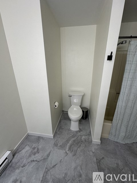 A bathroom with a toilet and a shower curtain.