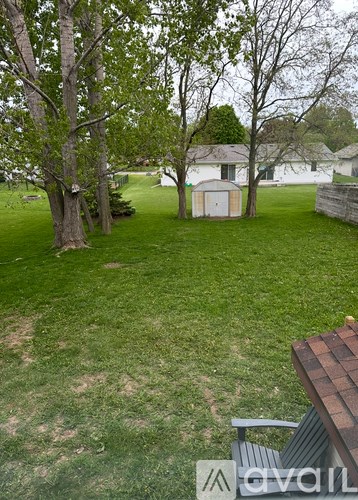 A backyard with a shed and a tree.