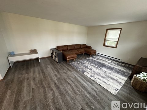 A living room with a brown couch and a grey rug.
