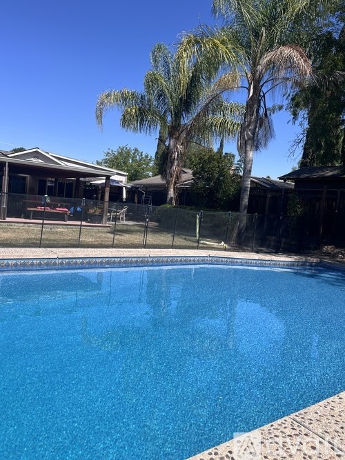 A pool surrounded by a fence and palm trees.