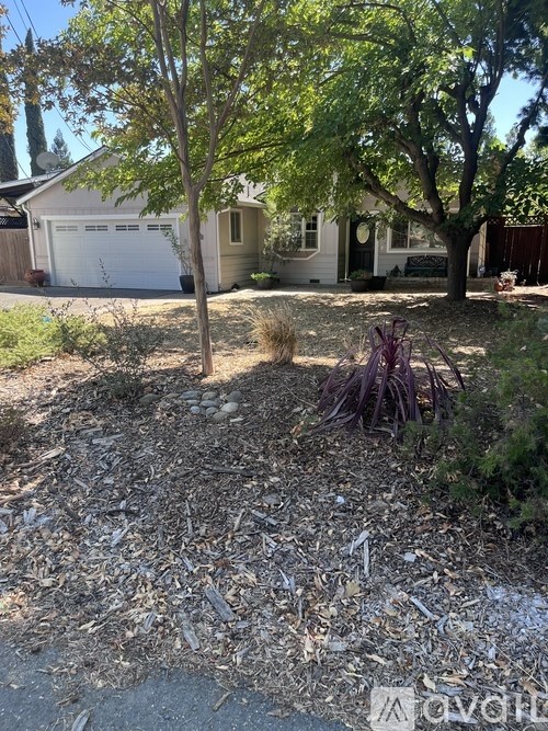 A tree in a yard in front of a house.