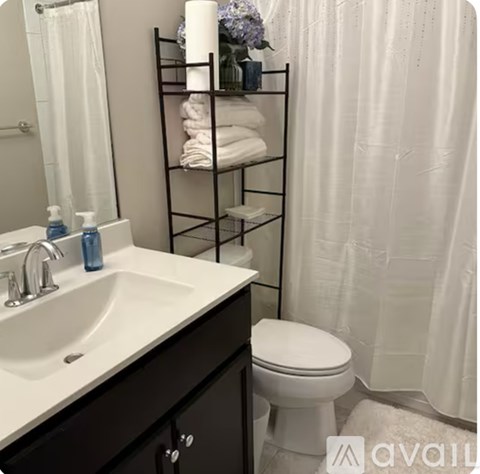 A bathroom with a white sink, toilet, and a white shower curtain.
