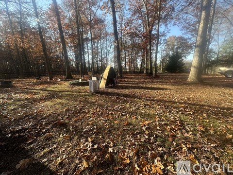 A wooded area with a pile of wood in the foreground.