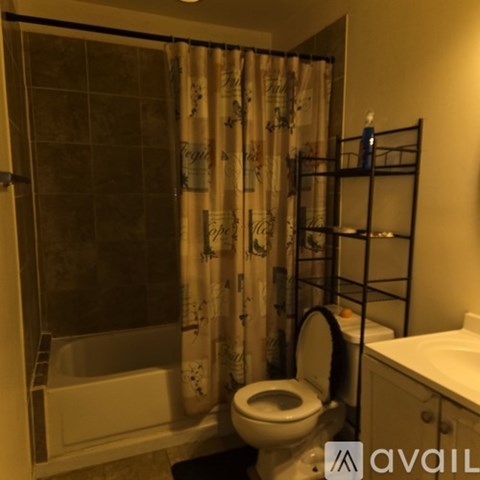 A bathroom with a toilet, sink, and shower.