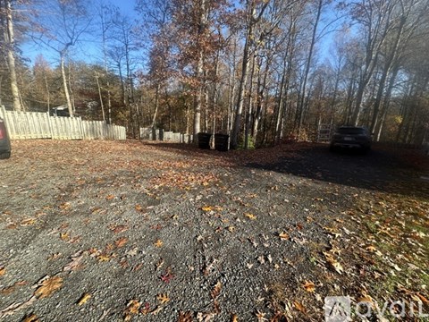 A backyard with a gravel surface and trees.