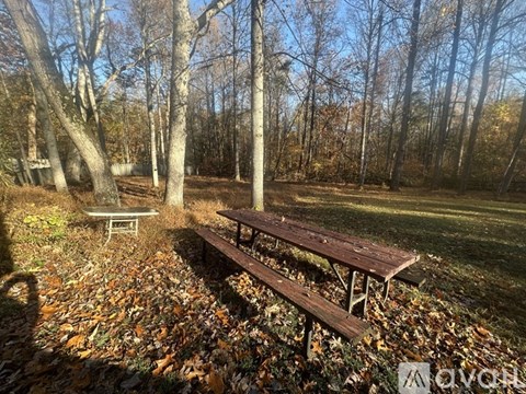 A wooden bench sits in a field of leaves with trees in the background.