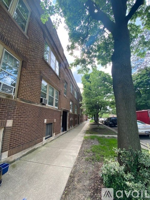 A tree is next to a building with a brick facade.