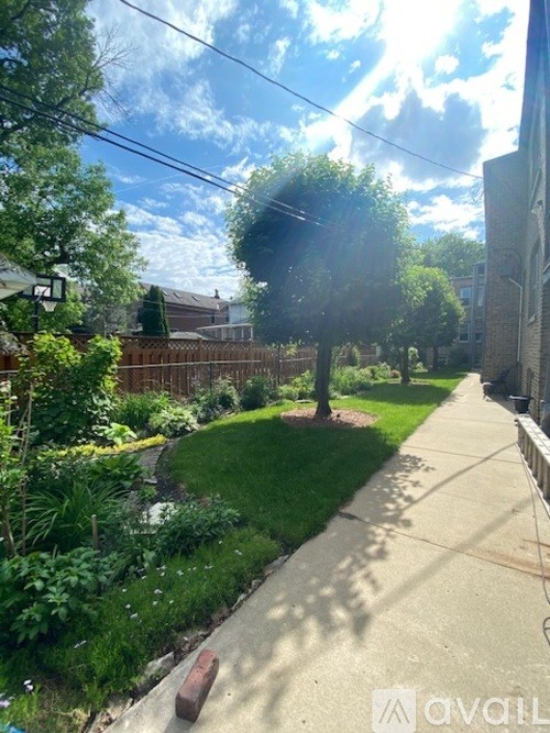 A tree in a yard with a sidewalk in front of it.