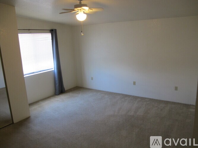 A room with a carpeted floor and a ceiling fan.