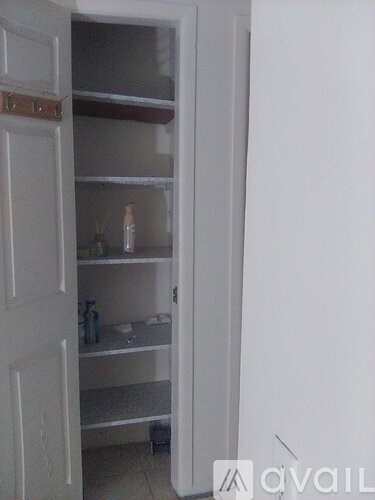 A white door is open to a pantry with shelves and containers.