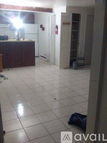 A kitchen area with a refrigerator, a counter, and a potted plant.