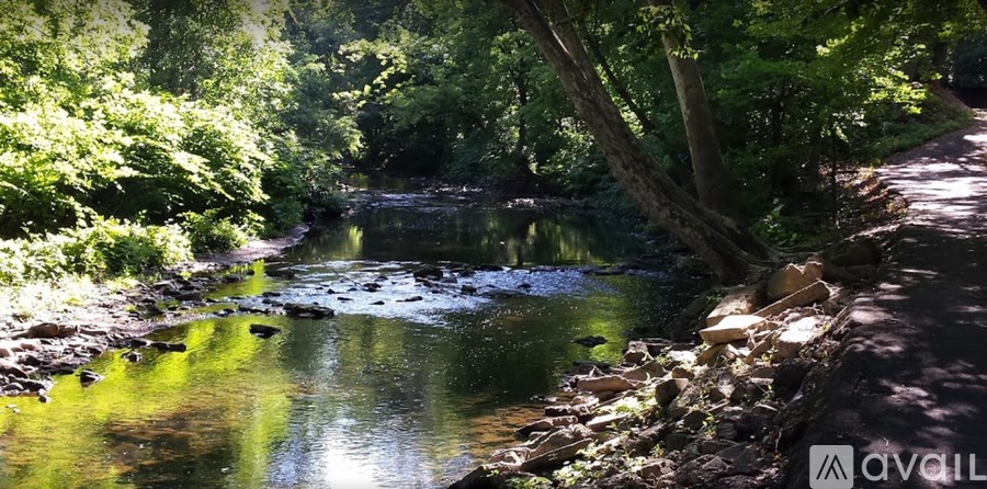 A river flows through a wooded area with rocks lining the banks.