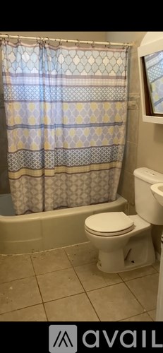 A bathroom with a toilet and a shower curtain.