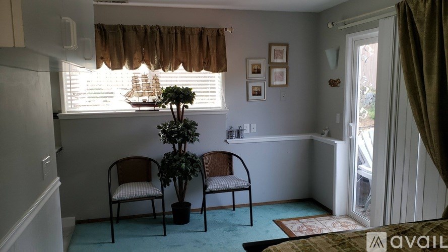 Two chairs are placed in front of a window with a plant between them.