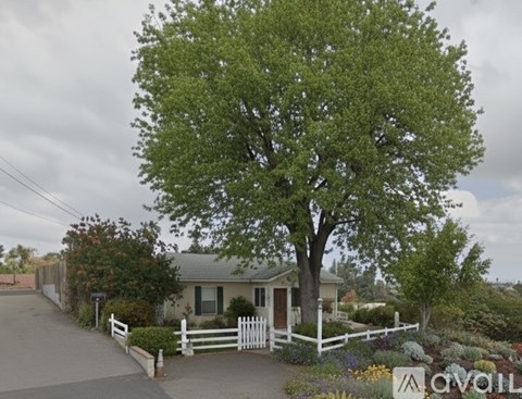A house with a white picket fence and a large tree in front.