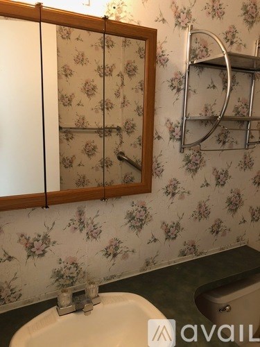 A bathroom with floral wallpaper and a white sink.