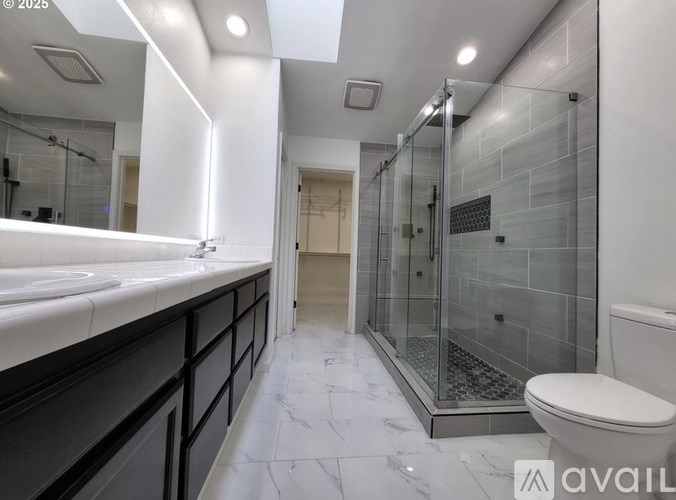 A bathroom with a walk-in shower and a toilet.
