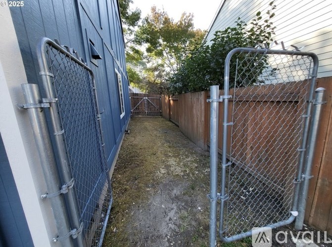 A chain link fence separates a yard from a house.