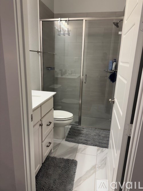 A bathroom with a walk in shower and a toilet.