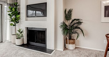 10380 Conser St 1-3 Beds Apartment for Rent - Photo Gallery 3