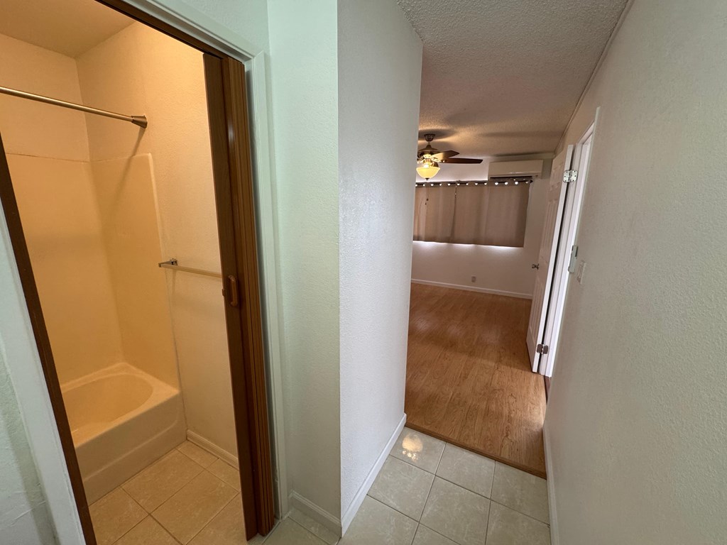 A bathroom with a walk-in shower and a hallway with a ceiling fan.