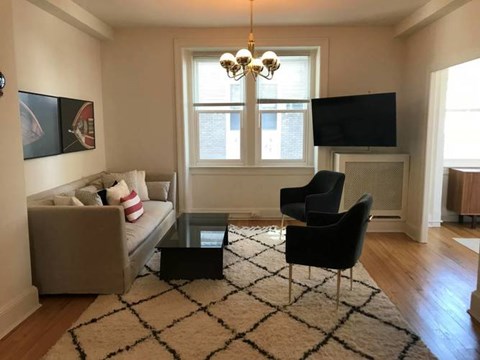 A living room with a couch, chair, and a rug.