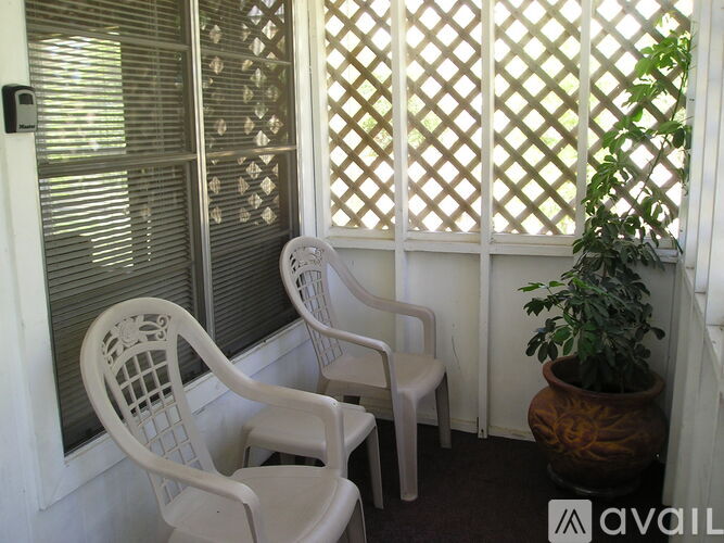 Two white chairs are on a porch next to a potted plant.