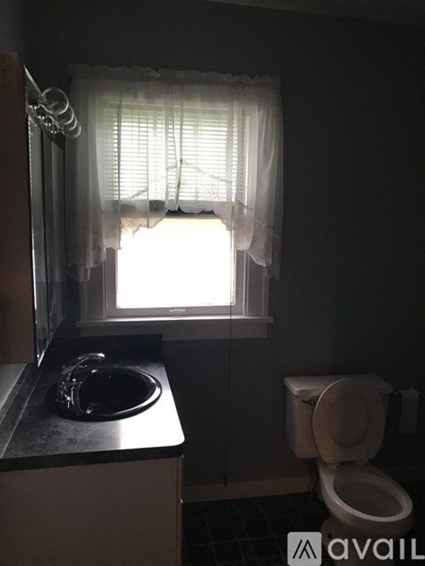 A bathroom with a toilet, sink, and window with curtains.