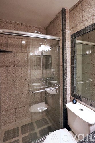 A bathroom with a toilet, a glass shower stall, and a mirror.