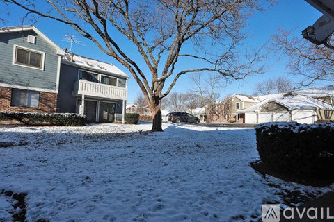 A tree in a snowy yard in front of a house.