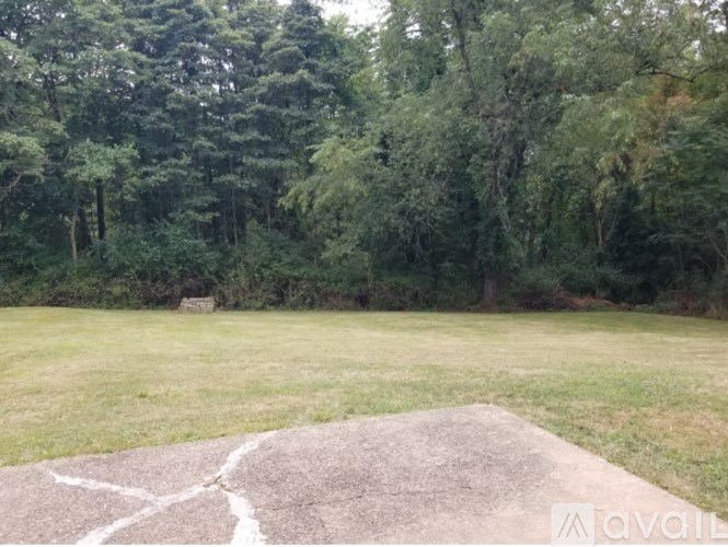 A large concrete slab with white paint marks is in the foreground of a grassy field with trees in the background.