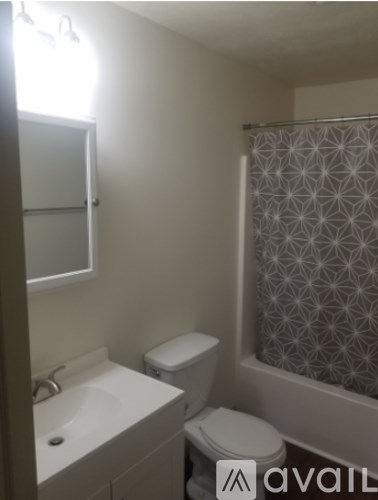 A bathroom with a toilet, sink, and shower curtain.